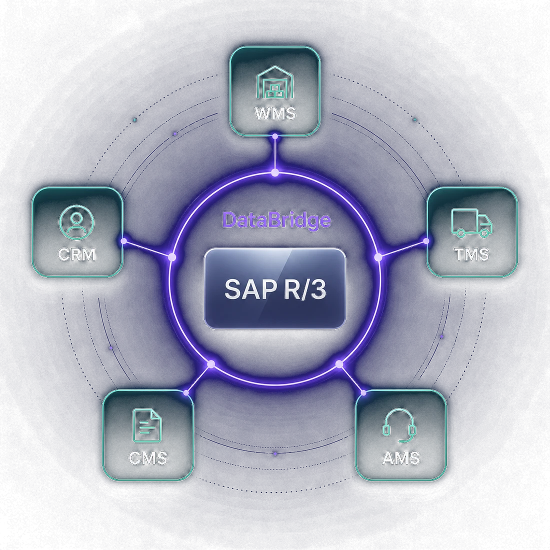 SAP R/3 központ, körülötte a DataBridge, amelyhez a DataMagic modulok (WMS, CRM, TMS, CMS, AMS) kapcsolódnak