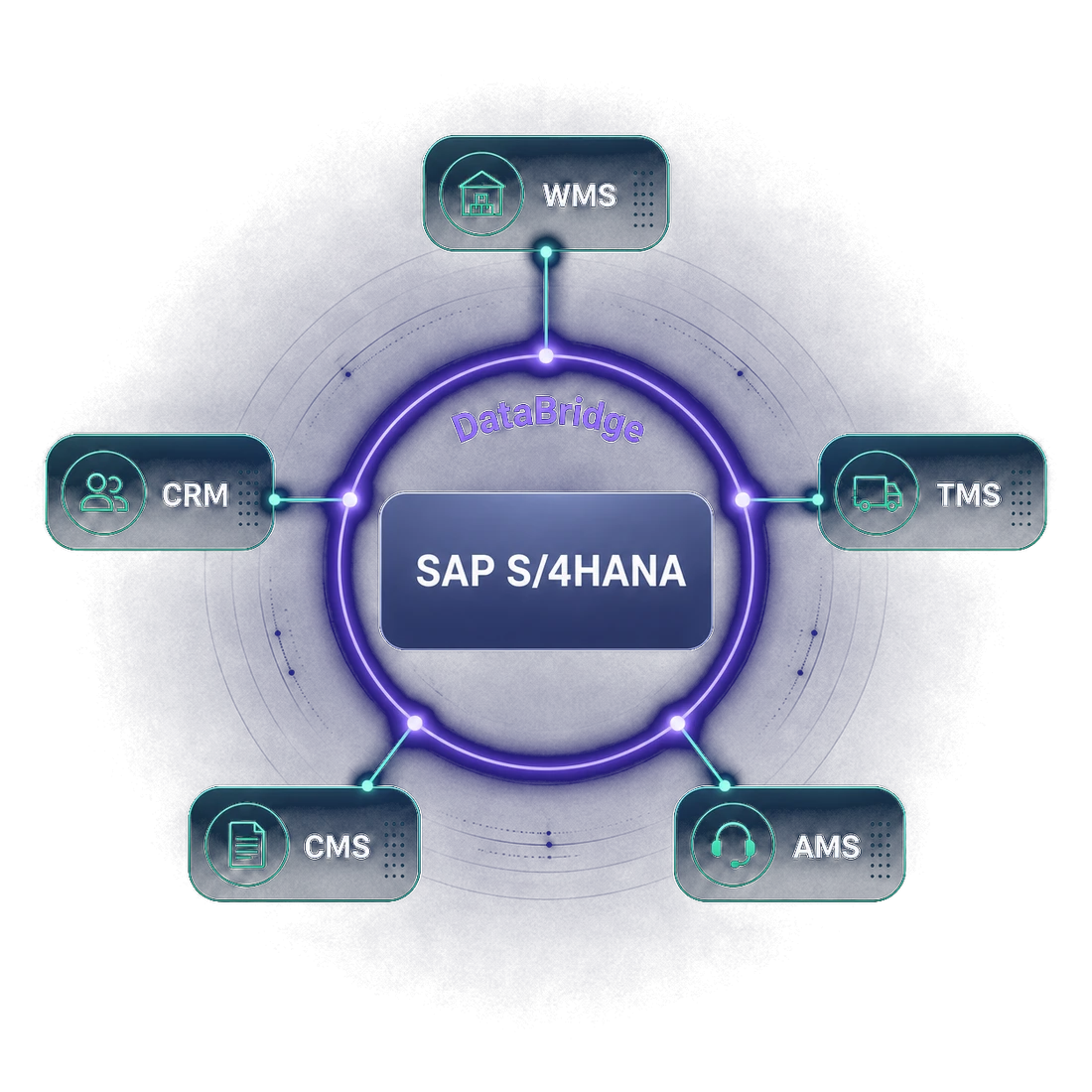 SAP S/4HANA központ, körülötte a DataBridge, amelyhez a DataMagic modulok (WMS, CRM, TMS, CMS, AMS) kapcsolódnak